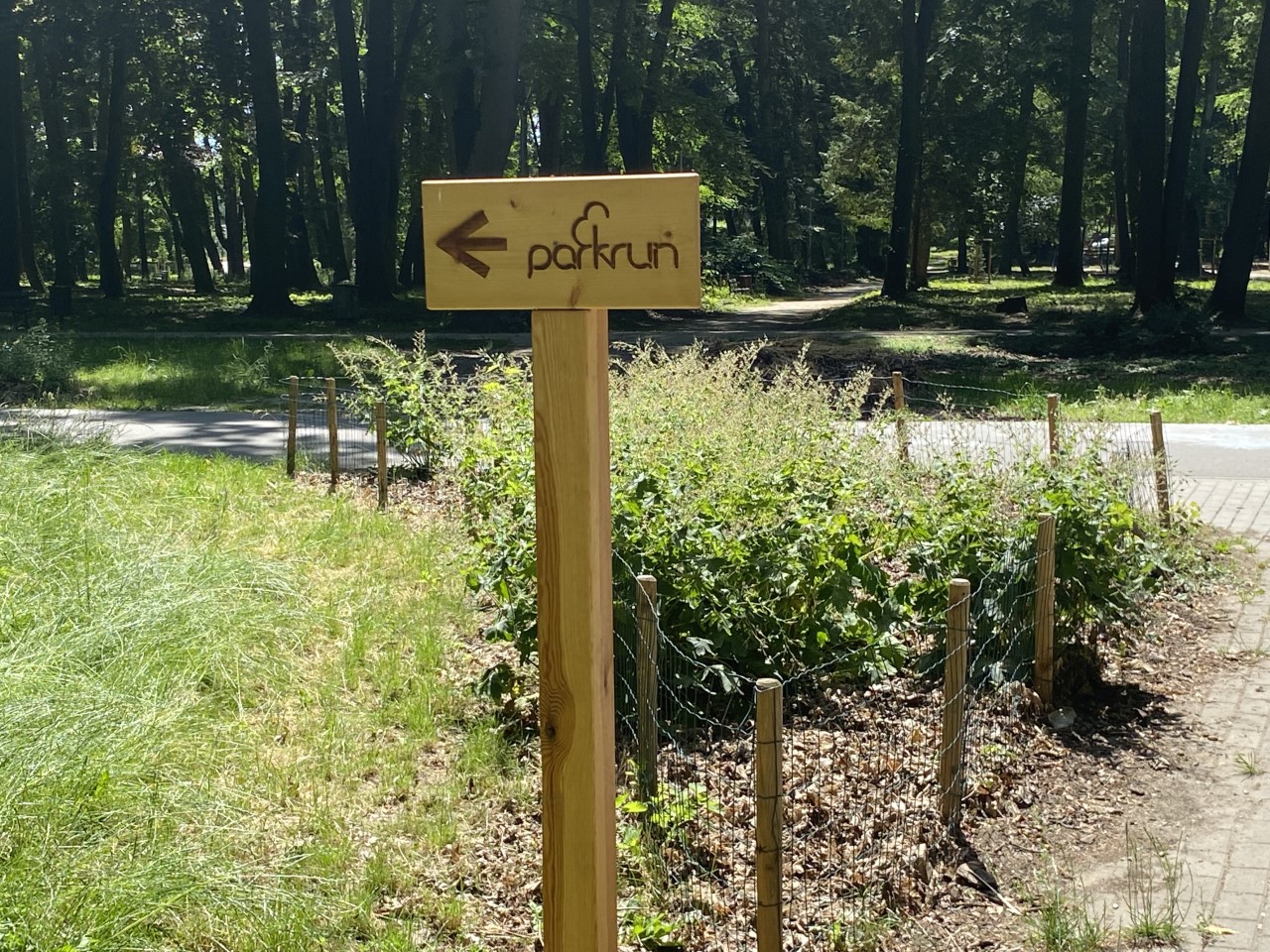 park run w parku Kopernika fot. A. Pękalska