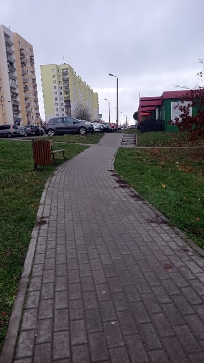 fot. UM